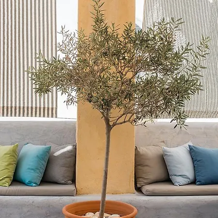 Argonauta Ξενοδοχείο