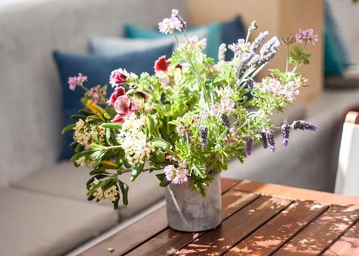 Argonauta فندق 3*