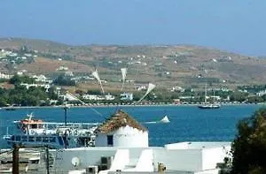 Argonauta