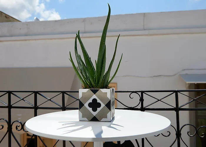 Argonauta Hotel Parikia (Paros)